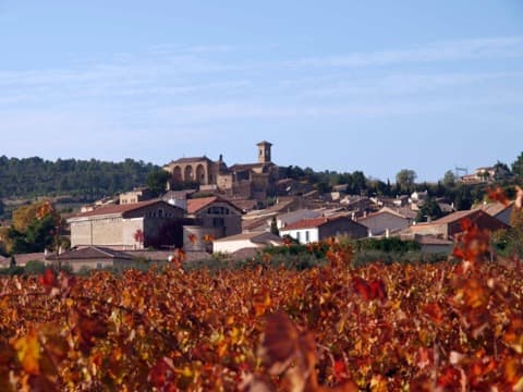 Couvreur Montouliers