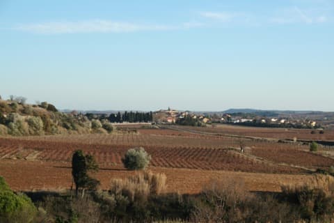 Couvreur Puisserguier