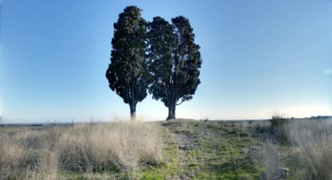 Couvreur Saint-Aunès