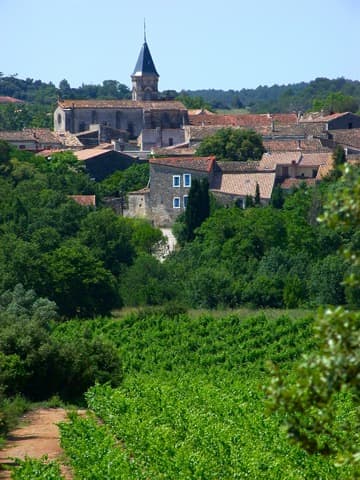 Couvreur Saint-Drézéry